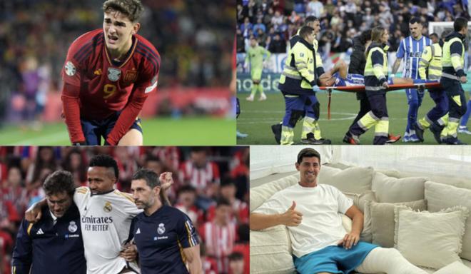 内损失了比 内损失了比